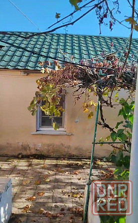 Село Виноградное Мариуполь - изображение 4
