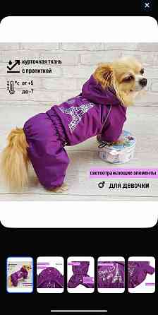 Комбинезон для собачки/девочка Донецк