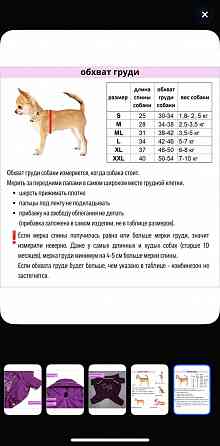 Комбинезон для собачки/девочка Донецк