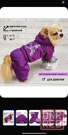 Комбинезон для собачки/девочка Донецк - изображение 1