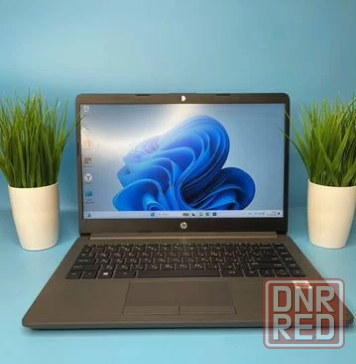 Ноутбук HP 240 G8 Макеевка - изображение 1