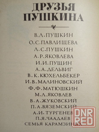 Друзья Пушкина Донецк - изображение 4