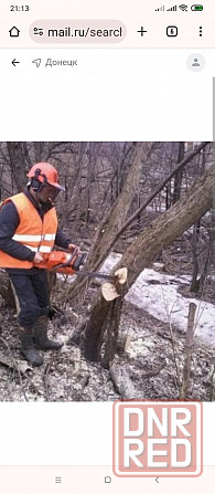 Валка деревьев любой сложности Макеевка - изображение 1