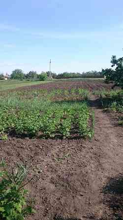 Продам Дом, отличное место (3 км от Невского по трассе в сторону Крыма) Мариуполь