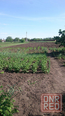 Продам Дом, отличное место (3 км от Невского по трассе в сторону Крыма) Мариуполь - изображение 2