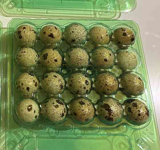 Мясо и яйца перепелов. Ясиноватая Ясиноватая