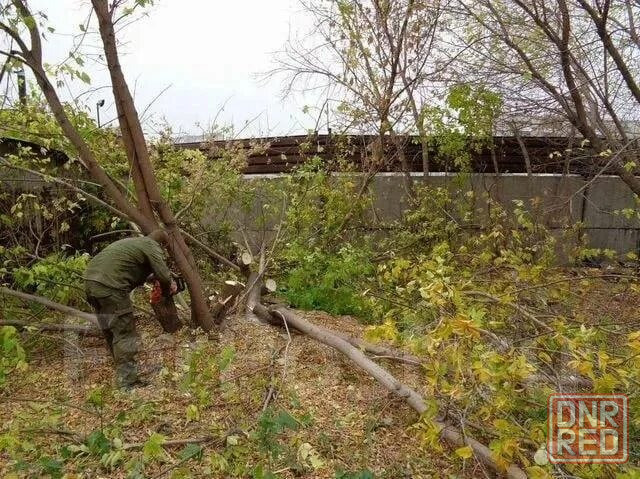 Расчистка земельных участков Днр Донецк - изображение 2