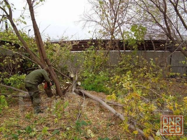Расчистка земельных участков Днр Донецк - изображение 3