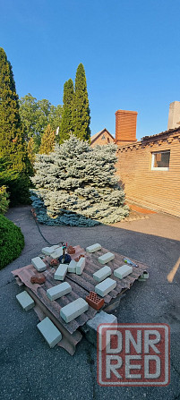 Продажа дома Кубышевский район Донецк - изображение 5