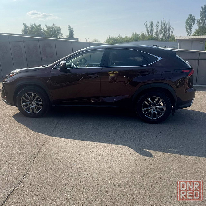 Lexus NX официальный в родном окрасе идеал Донецк - изображение 3