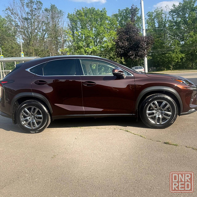 Lexus NX официальный в родном окрасе идеал Донецк - изображение 4