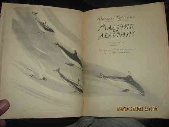 Мальчик на дельфине, Карпа* Донецк