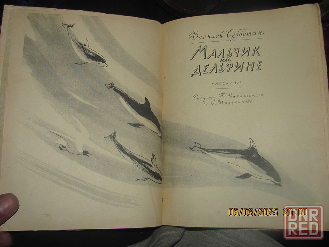 Мальчик на дельфине, Карпа* Донецк - изображение 4