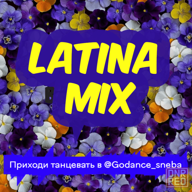 LATINA MIX Донецк - изображение 1