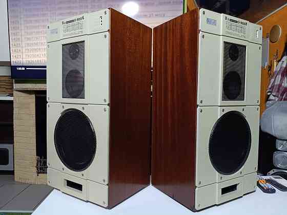 Акустическая система Radiotehnika-S-90В 8Ом. Донецк