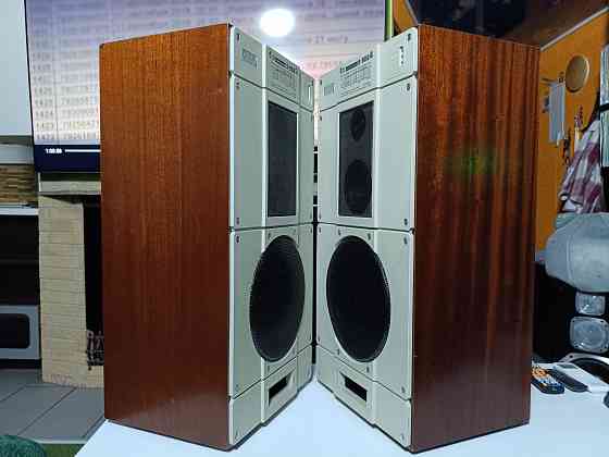 Акустическая система Radiotehnika-S-90В 8Ом. Донецк