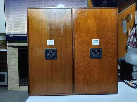 Акустическая система Radiotehnika-S-90В 8Ом. Донецк