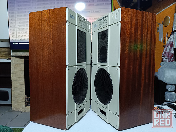 Акустическая система Radiotehnika-S-90В 8Ом. Донецк - изображение 3