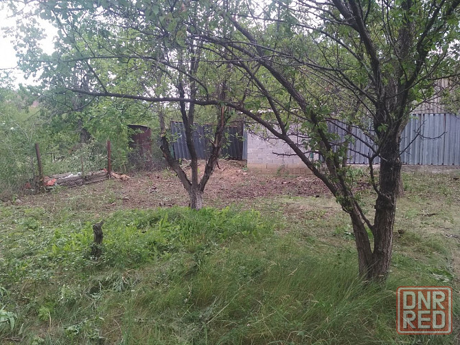 Продажа дачного участка в Ленинском районе, садоводческое товарищество "Родник". Участок 6 соток. Донецк - изображение 8
