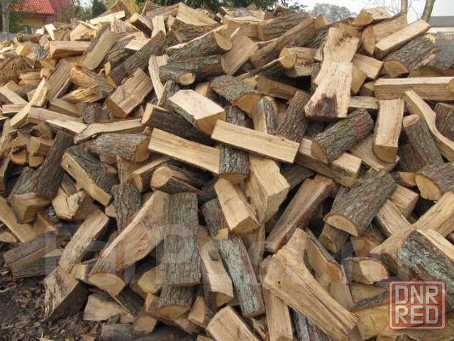Дровишки на растопку и топку Донецк - изображение 2