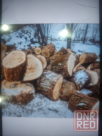 Продам дрова на растопку и топку Макеевка - изображение 1