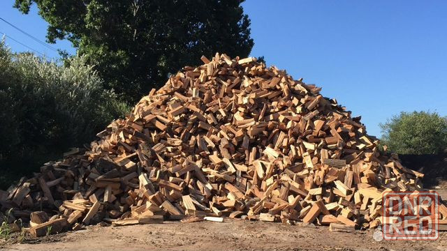 Продам дрова на растопку и топку Донецк - изображение 1