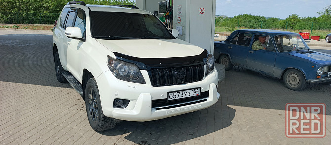 Продам живого Прадика Донецк - изображение 6