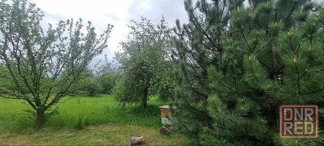 Продаю дом в с. Алексеева Орловке Шахтерск - изображение 9