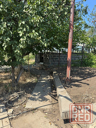 Продаётся дача мечты для винодела или того кто любит виноград Дебальцево - изображение 5