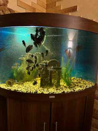 Продам аквариум Донецк