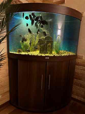 Продам аквариум Донецк
