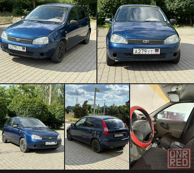 Продам калину Ясиноватая - изображение 1