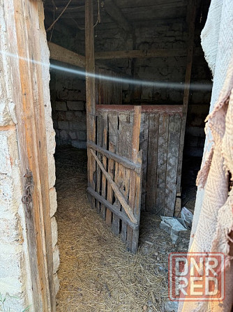 Продам дом в Еленовке Донецк - изображение 3