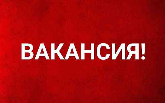 Диспетчер Снежное