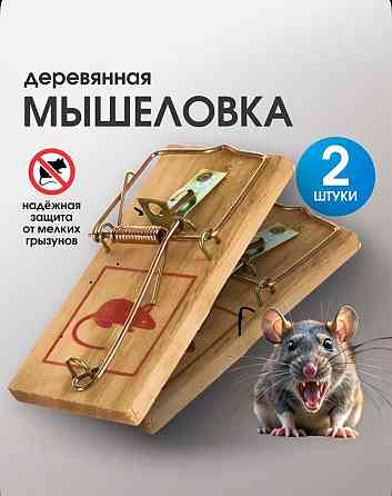 Мышеловка Донецк