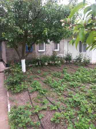 Дом Норд Донецк