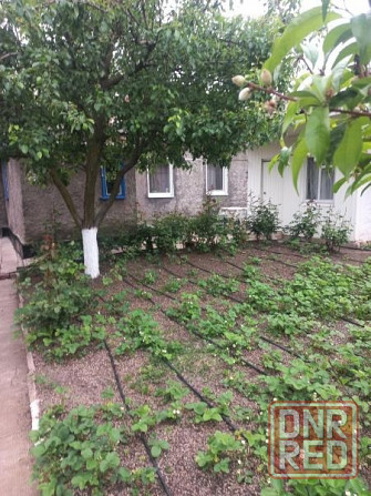 Дом Норд Донецк - изображение 1