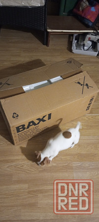 Газовая колонка baxi Донецк - изображение 2