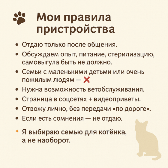 Ищу надёжные семьи для котят Донецк