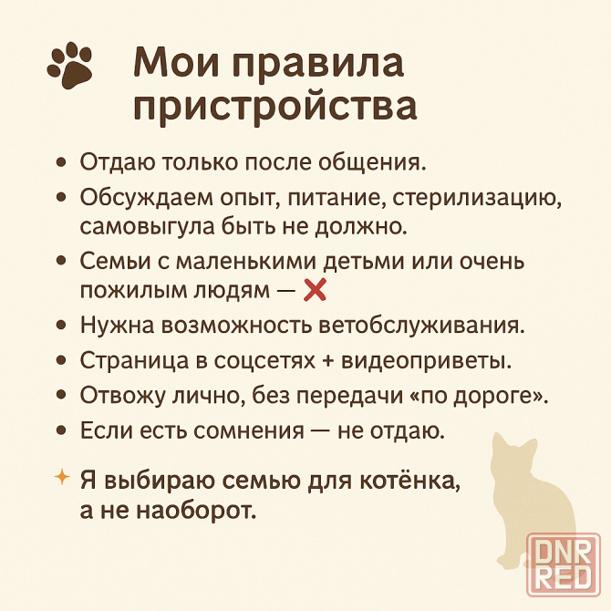 Ищу надёжные семьи для котят Донецк - изображение 1