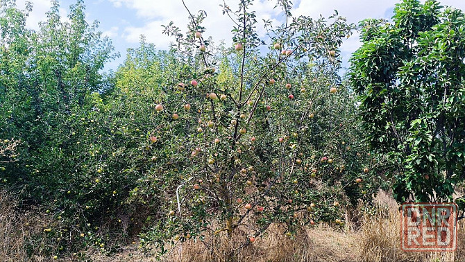 Продажа дома Мариуполь - изображение 3