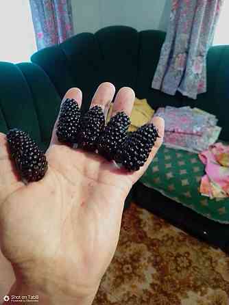 Продается дом в Донецке Горбачева Михайловка Донецк