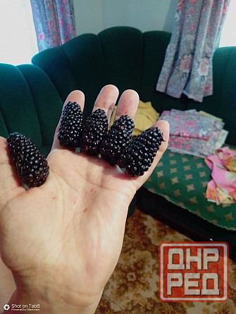 Продается дом в Донецке Горбачева Михайловка Донецк - изображение 1