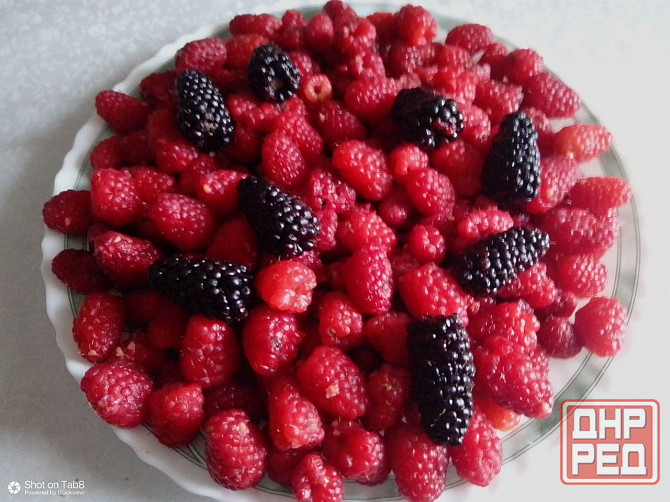 Продается дом в Донецке Горбачева Михайловка Донецк - изображение 7