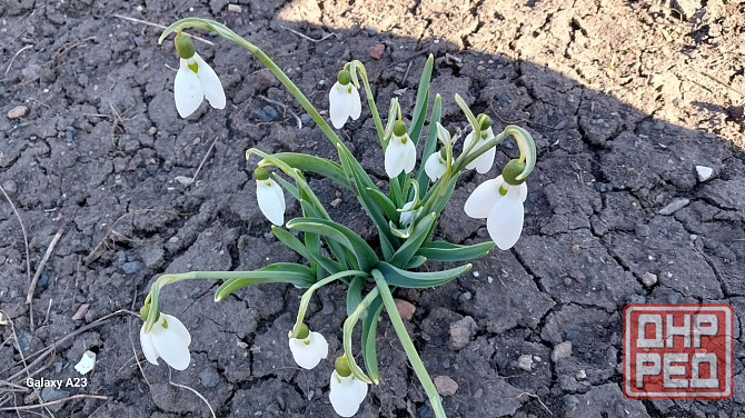 Продается дом в Донецке Горбачева Михайловка Донецк - изображение 5