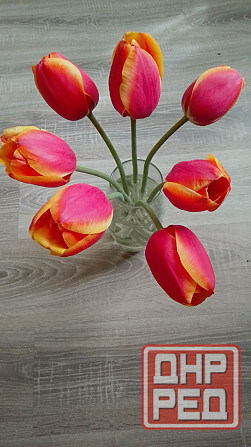 Продается дом в Донецке Горбачева Михайловка Донецк - изображение 8