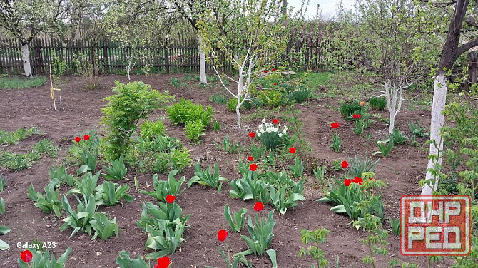 Продается дом в Донецке Горбачева Михайловка Донецк - изображение 6