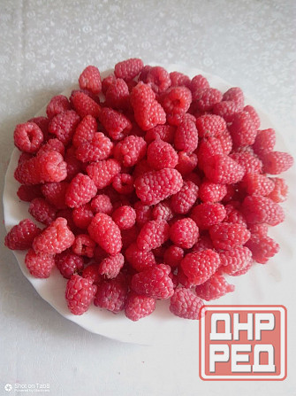 Продается дом в Донецке Горбачева Михайловка Донецк - изображение 9