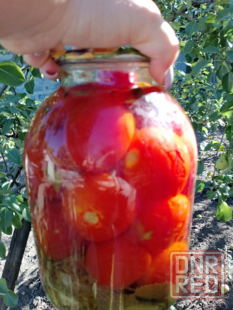 Продам закрутки домашние Донецк - изображение 8