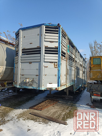 Продам скотовоз Донецк - изображение 1